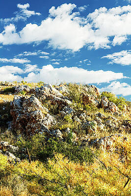 Wall Art - Photograph - Between Marathon and Big Bend-006-C by David Allen Pierson