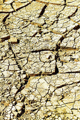 Wall Art - Photograph - Big Bend National Park-003-C by David Allen Pierson