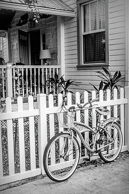 Bicycle at the Garden Fence in Black and White by Debra and Dave Vanderlaan Bicycle at the Garden Fence in Black and White by Debra and Dave Vanderlaan
