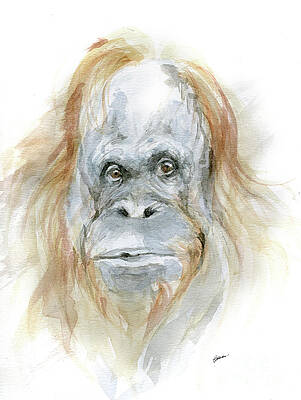 Big Ape by Angel Ciesniarska Big Ape by Angel Ciesniarska