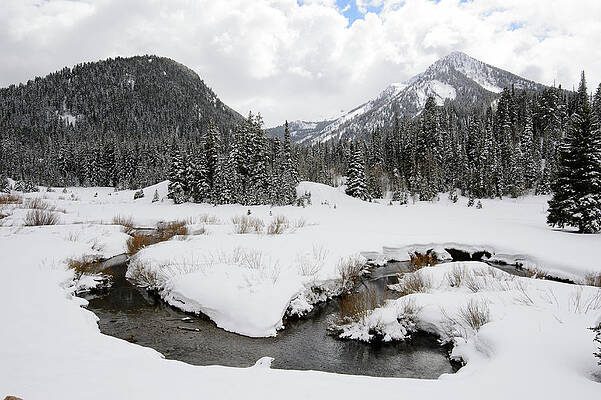 Big Cottonwood Creek by Steven Bridge