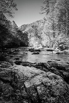 Wall Art - Photograph - Big Laurel Creek BW by Alexey Stiop