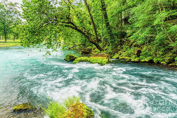 Wall Art - Photograph - Big Spring Ozarks by Jennifer White