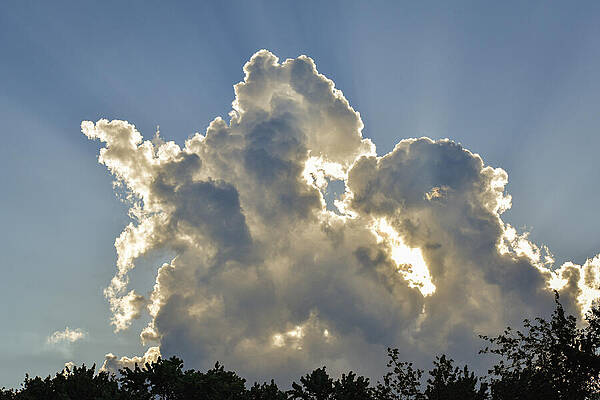 Wall Art - Photograph - Billowing clouds with sun highlights by Mike Worley