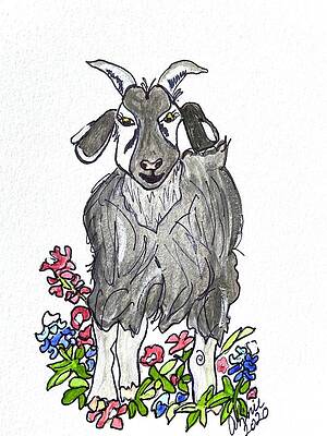 Old Goat by Lora McGowan