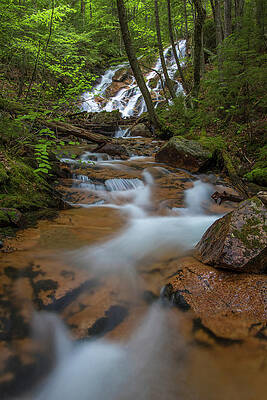 Birch Island Brook Falls Spring by Chris Whiton Birch Island Brook Falls Spring by Chris Whiton
