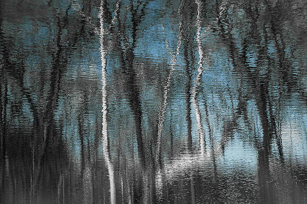 Birch Reflections by Tana Reiff Birch Reflections by Tana Reiff