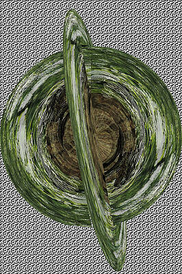 Bird polar coordinates 3D transform plane by Karl Rose Bird polar coordinates 3D transform plane by Karl Rose