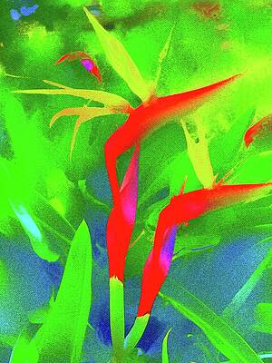 Birds-of-Paradise by Christina Ford Birds-of-Paradise by Christina Ford