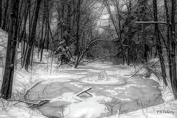 Black and White Pond by Phill Doherty Black and White Pond by Phill Doherty