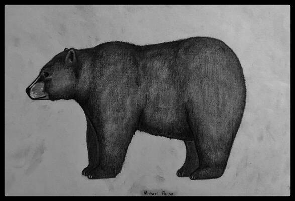 Omnivores Drawings for Sale - Fine Art America