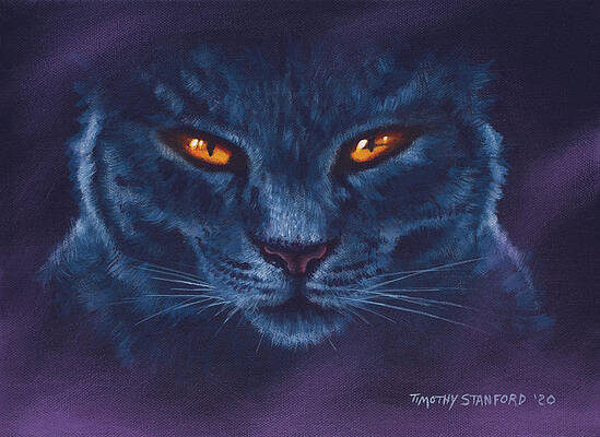 Black Magic by Timothy Stanford Black Magic by Timothy Stanford