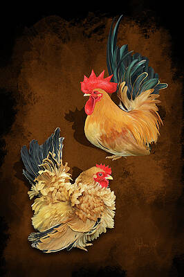 Black tailed buff frizzle Japanese bantams or Chabo by Sigrid Van Dort Black tailed buff frizzle Japanese bantams or Chabo by Sigrid Van Dort
