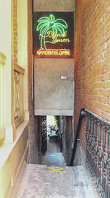 Wall Art - Photograph - Blind Lemon by Bentley Davis