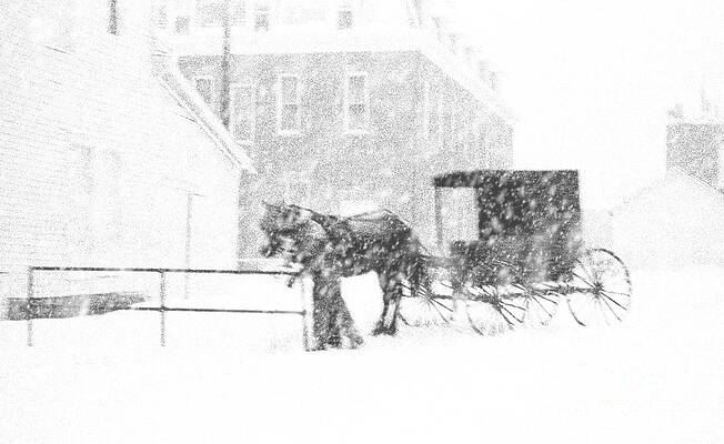 Blizzard by Robert Gardner Blizzard by Robert Gardner