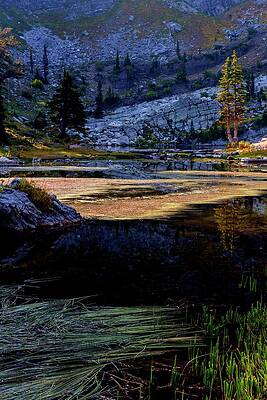 Bloomington Lake Fall Grass by Jerry Sodorff Bloomington Lake Fall Grass by Jerry Sodorff