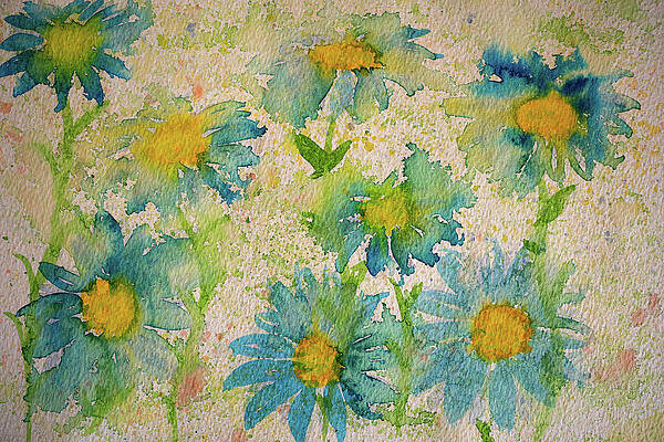 Blue and Yellow Daisies by Nigel R Bell Blue and Yellow Daisies by Nigel R Bell