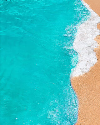  Photograph - Blue beauty  by Jennifer Burns