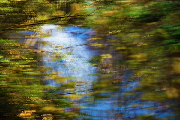 Blue Creek by Yulia Kazansky Blue Creek by Yulia Kazansky