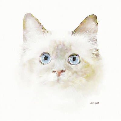Wall Art - Digital Art - Blue Eyed Kitten by Bamalam Art