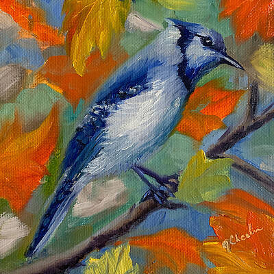 Blue Jay in Autumn Leaves by Jan Chesler Blue Jay in Autumn Leaves by Jan Chesler