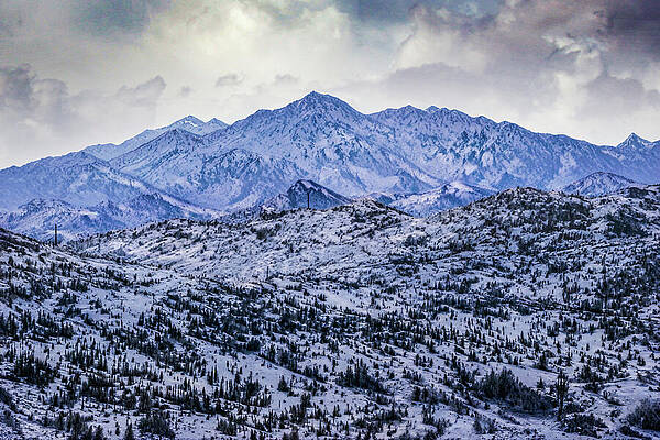 Wall Art - Photograph - Blue Mountain by Jim Painter