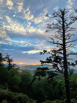 Wall Art - Photograph - Blue Ridge Sunrise by Laura Fasulo