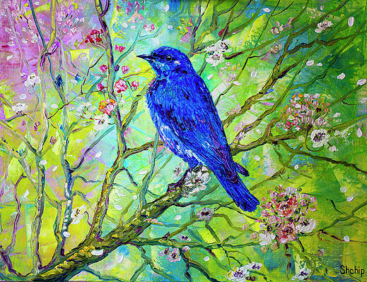 Bluebird on a blossoming branch by Natalia Shchipakina Bluebird on a blossoming branch by Natalia Shchipakina