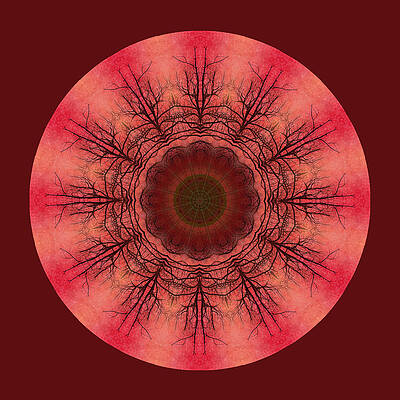 Blush Tree Mandala by Amy Neufeld Blush Tree Mandala by Amy Neufeld