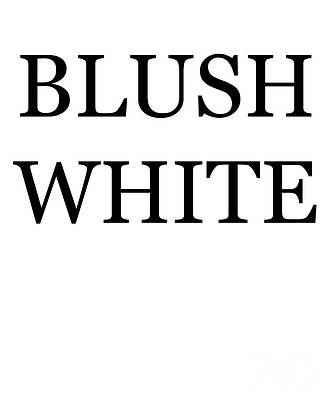 Wall Art - Digital Art - Blush White Wine Costume by Flippin Sweet Gear