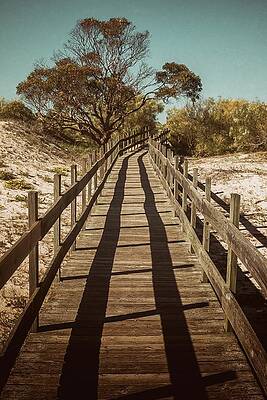 Boardwalk in Dunes by Carlos Caetano Boardwalk in Dunes by Carlos Caetano