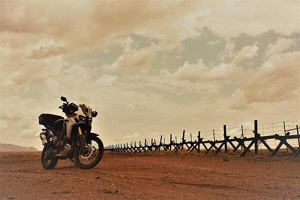 Border Stop by David S Reynolds Border Stop by David S Reynolds
