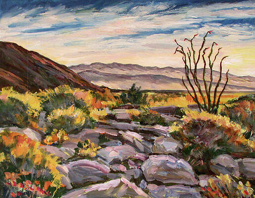 Borrego Desert Sunset by Robert Gerdes