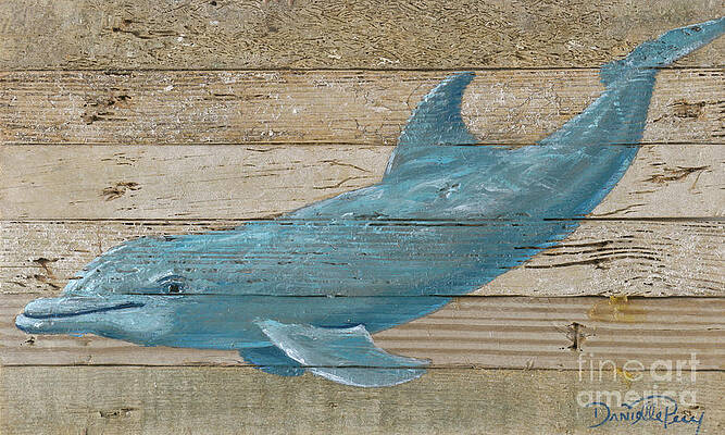 Bottlenose Dophin by Danielle Perry Bottlenose Dophin by Danielle Perry