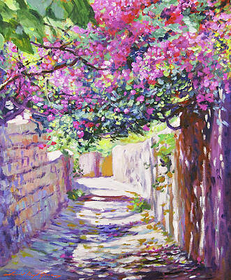 Bougainvillea Lane by David Lloyd Glover Bougainvillea Lane by David Lloyd Glover