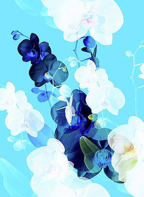 Bouquet I by Lloyd Arbour Bouquet I by Lloyd Arbour