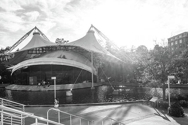 Break at the Amphitheater by Sharon Popek Break at the Amphitheater by Sharon Popek