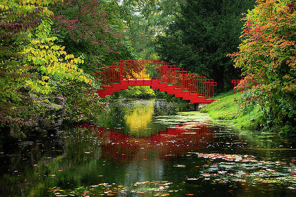 Bridge in Whiting Forest of Dow Gardens by Guillermo Lizondo Bridge in Whiting Forest of Dow Gardens by Guillermo Lizondo
