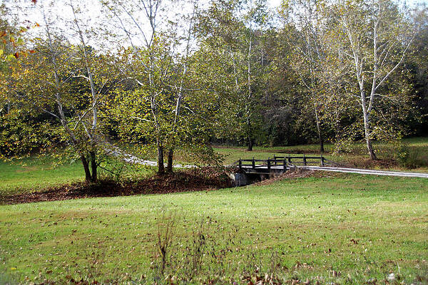 Bridge by Mike Murdock Bridge by Mike Murdock