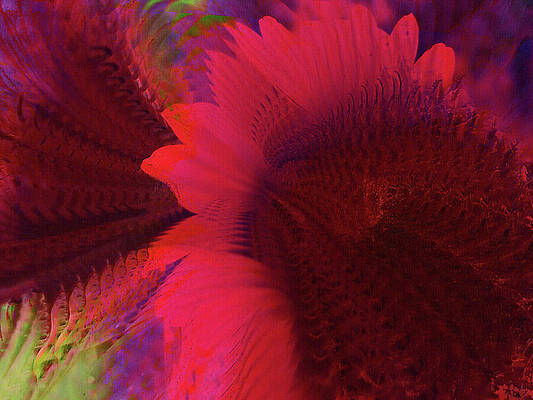 Bright Red Fantasy Flower Abstract by Shelli Fitzpatrick Bright Red Fantasy Flower Abstract by Shelli Fitzpatrick