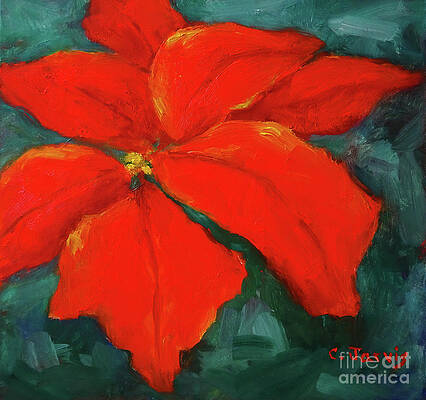 Brilliant Red Poinsettia by Carolyn Jarvis Brilliant Red Poinsettia by Carolyn Jarvis