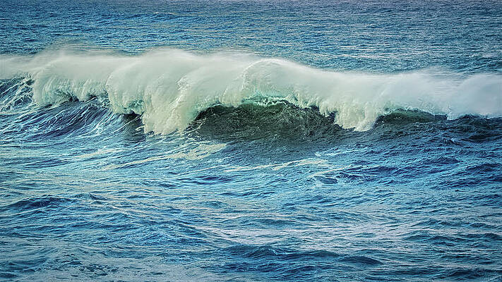 Wall Art - Photograph - Bring The Ocean Inside by Bill Posner