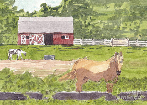 Happy horse at Broadneck Stable by Mike Robinson Happy horse at Broadneck Stable by Mike Robinson