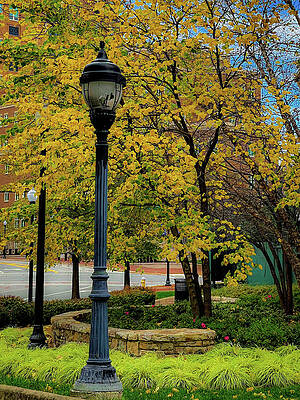 Broken Street Lamp and Fall Colors by Lora J Wilson Broken Street Lamp and Fall Colors by Lora J Wilson