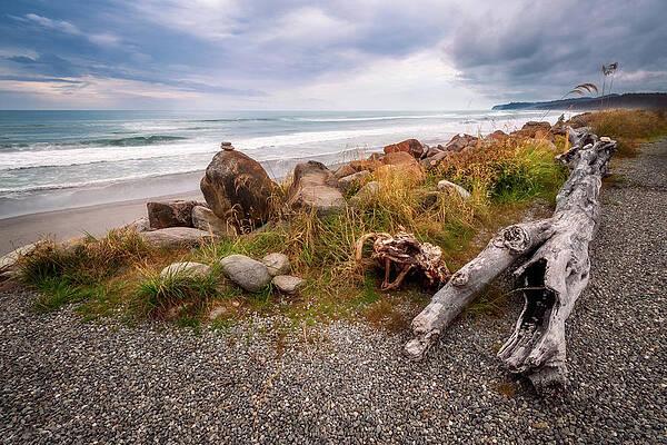 Bruce Bay beach close to sunset at Tasman Sea in New Zealand. by Daniela Constantinescu Bruce Bay beach close to sunset at Tasman Sea in New Zealand. by Daniela Constantinescu