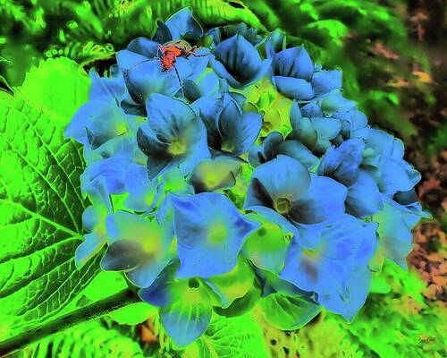 Wall Art - Digital Art - Bug On A Hydrangea by Bruce Block