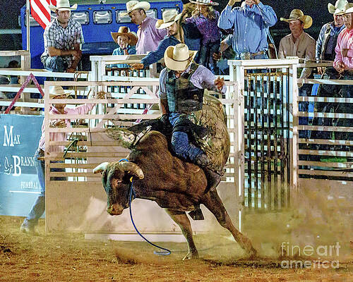 Bull Rider by Nick Zelinsky Jr Bull Rider by Nick Zelinsky Jr