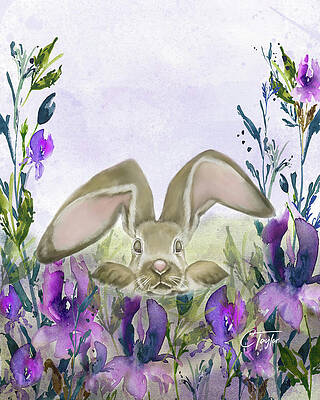 Bunny in Iris Fields by Colleen Taylor Bunny in Iris Fields by Colleen Taylor