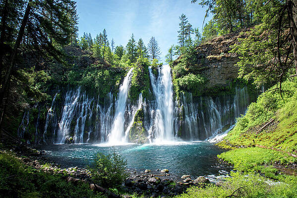 Burney Falls by Aileen Savage Burney Falls by Aileen Savage