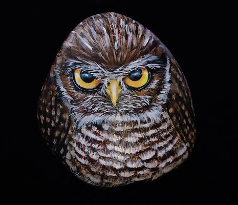 Burrowing Owl Stone by Nancy Lauby Burrowing Owl Stone by Nancy Lauby